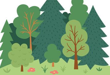 Vektorillustration von einem Waldstück, verschiedene Bäume
